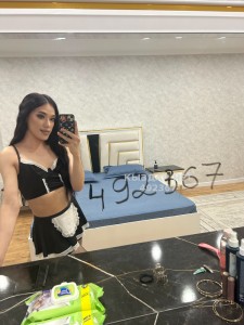 Транс Алматы Анкета №492367 Фотография №3750359