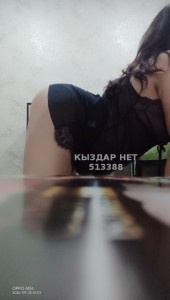 Проститутка Павлодара Девушка№513388 Мадина Фотография №3831620