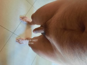 Жиголо Алматы Парень№518034 Фраер Фотография №3864709